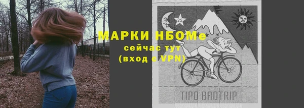 твердый Аркадак