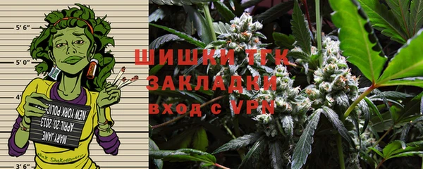 винт Арсеньев