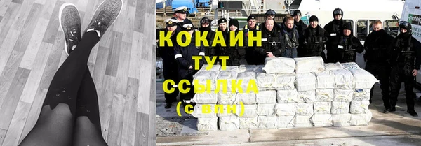 твердый Аркадак